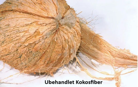 100% Eco-Friendly Coconut Brush with Wooden Handle