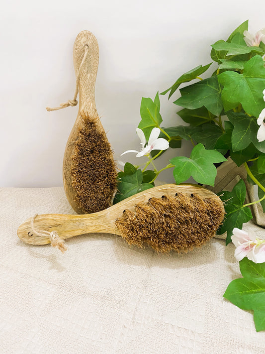 100% Eco-Friendly Coconut Brush with Wooden Handle
